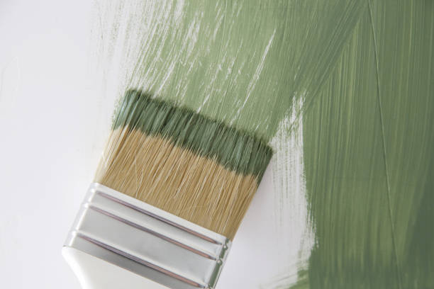 Best Mold Remediation for Vacation Homes  in Fishhook, AK