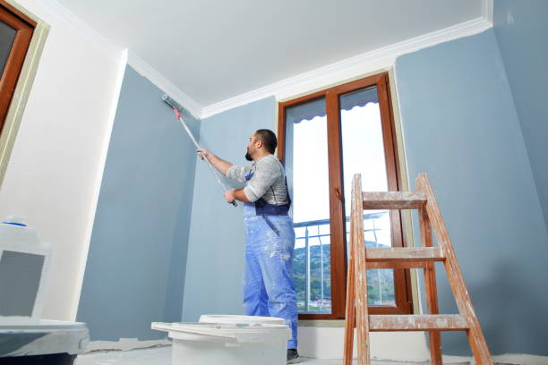 Best Emergency Mold Remediation  in Fishhook, AK