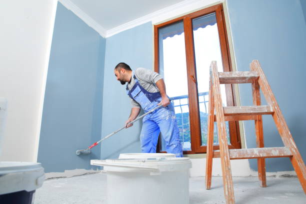 Reliable Fishhook, AK Mold Removal Solutions