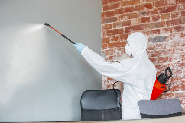 Best Comprehensive Air Testing for Mold Contaminants  in Fishhook, AK
