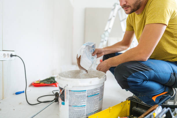 Mold Remediation for Vacation Homes in Fishhook, AK