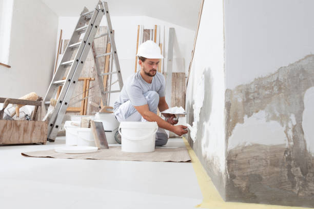  Fishhook, AK Mold Removal Pros