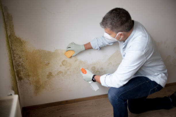 Best Forensic Mold Investigation  in Fishhook, AK