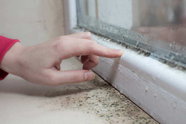 Best Biohazard Mold Removal  in Fishhook, AK