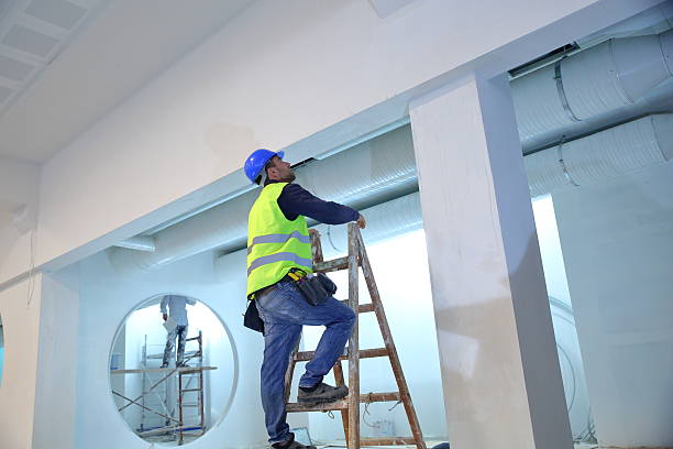 Best Post-Construction Mold Inspection  in Fishhook, AK