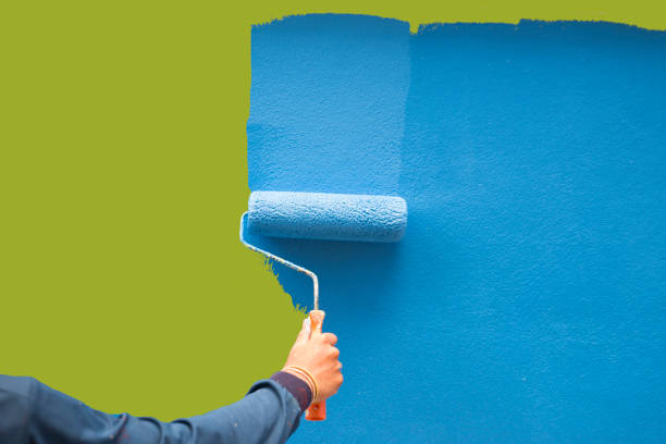 Best Mold Damage Restoration  in Fishhook, AK